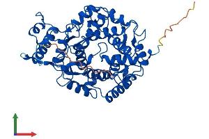 AlphaFold protein structure predicition of Mouse Recombinant Fntb Protein, UniprotID Q8K2I1