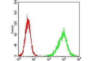 Flow cytometric analysis of NIH/3T3 cells using HH3 mouse mAb (green) and negative control (red). (Prokineticin Receptor 2 anticorps  (acetylated))
