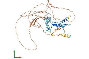 AlphaFold protein structure predicition of Human Recombinant YY1 Protein, UniprotID P25490