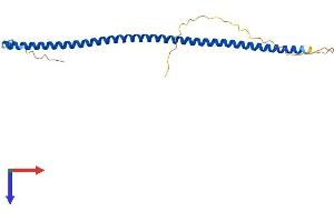 AlphaFold protein structure predicition of Human Recombinant CCDC85B Protein, UniprotID Q15834