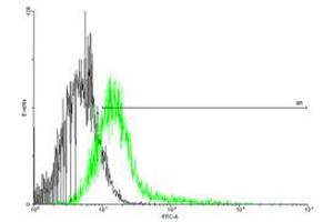 FACS analysis of negative control 293 cells (Black) and IFNGR1 expressing 293 cells (Green) using IFNGR1 purified MaxPab mouse polyclonal antibody.