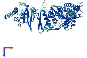 AlphaFold protein structure predicition of Human Recombinant CCT6B Protein, UniprotID Q92526