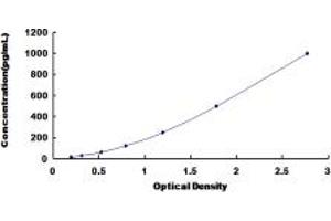Typical standard curve (FGF3 Kit ELISA)