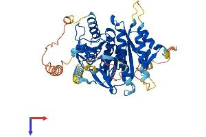 AlphaFold protein structure predicition of Human Recombinant ATG4C Protein, UniprotID Q96DT6