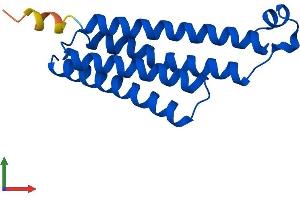 AlphaFold protein structure predicition of Mouse Recombinant Ptges Protein, UniprotID Q9JM51