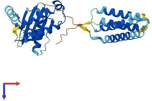 AlphaFold protein structure predicition of Human Recombinant SEC22C Protein, UniprotID Q9BRL7