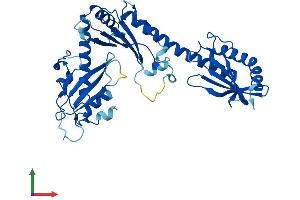 AlphaFold protein structure predicition of Mouse Recombinant Babam2 Protein, UniprotID Q8K3W0