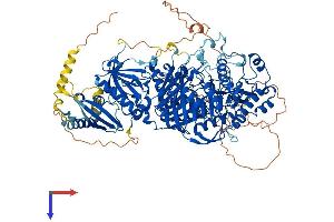 AlphaFold protein structure predicition of Mouse Recombinant Pld1 Protein, UniprotID Q9Z280