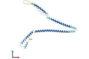 AlphaFold protein structure predicition of Human Recombinant CENPH Protein, UniprotID Q9H3R5