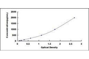 Typical standard curve (NAMPT Kit ELISA)