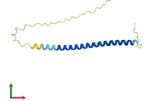 AlphaFold protein structure predicition of Mouse Recombinant Scoc Protein, UniprotID Q78YZ6