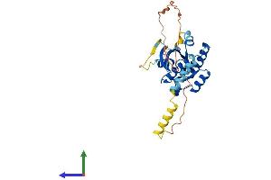 AlphaFold protein structure predicition of Mouse Recombinant Gem Protein, UniprotID P55041