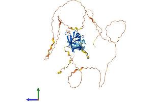 AlphaFold protein structure predicition of Human Recombinant RUNX1 Protein, UniprotID Q01196