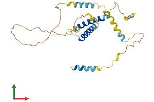 AlphaFold protein structure predicition of Mouse Recombinant Cdca4 Protein, UniprotID Q9CWM2