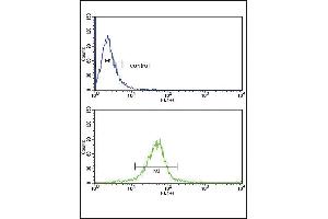 GSTM1 Antibody (C-term) (ABIN390883 and ABIN2841095) flow cytometric analysis of MDA-M cells (bottom histogram) compared to a negative control cell (top histogram).