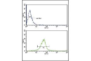 GSTM1 Antibody (C-term) (ABIN390883 and ABIN2841095) flow cytometric analysis of MDA-M cells (bottom histogram) compared to a negative control cell (top histogram). (GSTM1 anticorps  (C-Term))