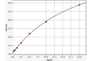 Typical standard curve (ABCC1 Kit ELISA)