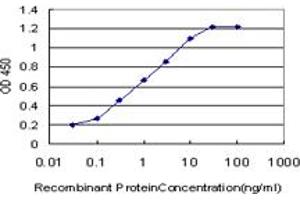 Detection limit for recombinant GST tagged NBR1 is approximately 0.