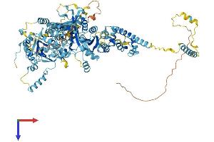 AlphaFold protein structure predicition of Mouse Recombinant Nat10 Protein, UniprotID Q8K224