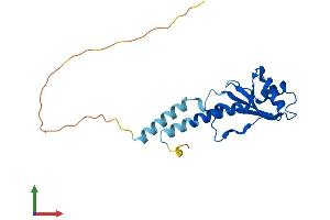 AlphaFold protein structure predicition of Human Recombinant C19orf81 Protein, UniprotID C9J6K1