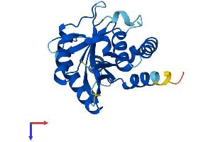 AlphaFold protein structure predicition of Mouse Recombinant Emc9 Protein, UniprotID Q9DB76