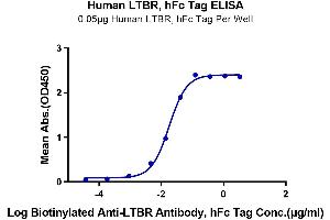 Immobilized Human LTBR, hFc Tag at 0. (LTBR Protein (AA 31-227) (Fc Tag))