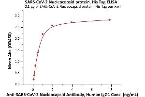 Immobilized SARS-CoV-2 Nucleocapsid protein, His Tag (ABIN6971314,ABIN6971315) at 1 μg/mL (100 μL/well) can bind A-CoV-2 Nucleocapsid Antibody, Human IgG1  with a linear range of 0.