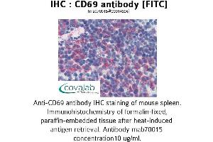 Image no. 1 for anti-CD69 (CD69) antibody (FITC) (ABIN1723067) (CD69 anticorps  (FITC))