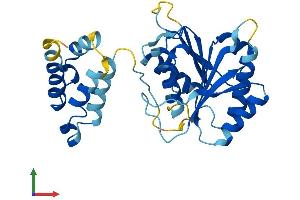 AlphaFold protein structure predicition of Human Recombinant FAM86B1 Protein, UniprotID Q8N7N1