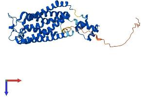AlphaFold protein structure predicition of Human Recombinant CERS6 Protein, UniprotID Q6ZMG9