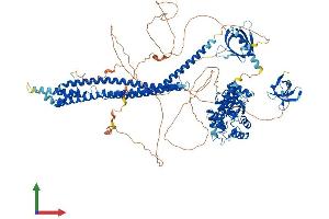 AlphaFold protein structure predicition of Human Recombinant ASAP1 Protein, UniprotID Q9ULH1