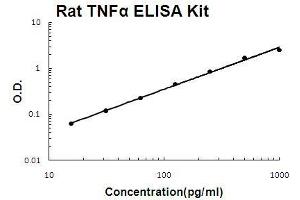 Rat TNF alpha PicoKine ELISA Kit standard curve