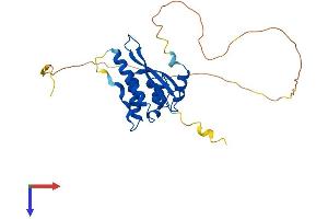 AlphaFold protein structure predicition of Mouse Recombinant Snx11 Protein, UniprotID Q91WL6