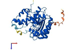 AlphaFold protein structure predicition of Human Recombinant HDAC11 Protein, UniprotID Q96DB2