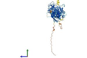 AlphaFold protein structure predicition of Mouse Recombinant Inpp5k Protein, UniprotID Q8C5L6