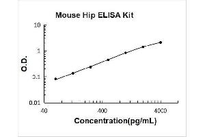 Hedgehog Interacting Protein (HHIP) ELISA Kit