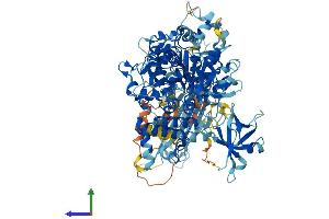 AlphaFold protein structure predicition of Mouse Recombinant Mov10 Protein, UniprotID P23249