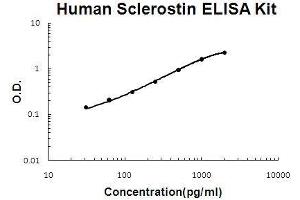 Human Sclerostin/SOST PicoKine ELISA Kit standard curve