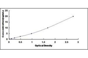 Typical standard curve (RCBTB2 Kit ELISA)