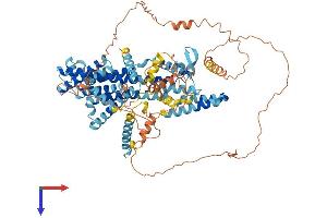 AlphaFold protein structure predicition of Mouse Recombinant Phtf1 Protein, UniprotID Q9QZ09