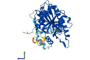AlphaFold protein structure predicition of Mouse Recombinant Pafah2 Protein, UniprotID Q8VDG7