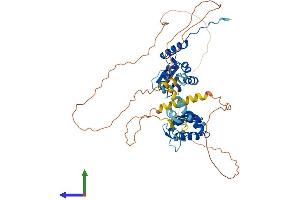 AlphaFold protein structure predicition of Mouse Recombinant Nacc1 Protein, UniprotID Q7TSZ8