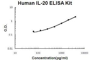 Human IL-20 PicoKine ELISA Kit standard curve (IL-20 Kit ELISA)