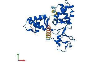 AlphaFold protein structure predicition of Mouse Recombinant Nsmce1 Protein, UniprotID Q9D720