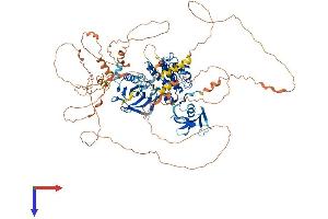 AlphaFold protein structure predicition of Human Recombinant MAP3K14 Protein, UniprotID Q99558