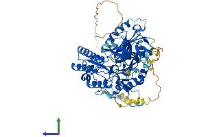 AlphaFold protein structure predicition of Human Recombinant CDK5RAP1 Protein, UniprotID Q96SZ6