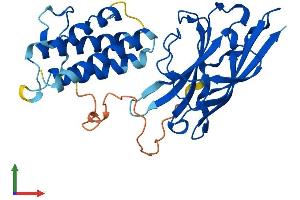 AlphaFold protein structure predicition of Mouse Recombinant Aida Protein, UniprotID Q8C4Q6
