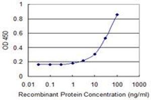 anti-Chromodomain Protein, Y-Linked, 2A (CDY2A) (AA 123-214) antibody