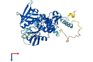AlphaFold protein structure predicition of Mouse Recombinant Mylip Protein, UniprotID Q8BM54