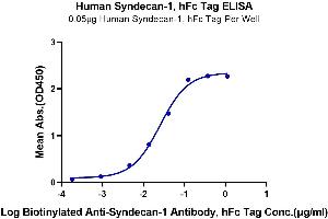 Immobilized Human Syndecan-1, hFc Tag at 0.